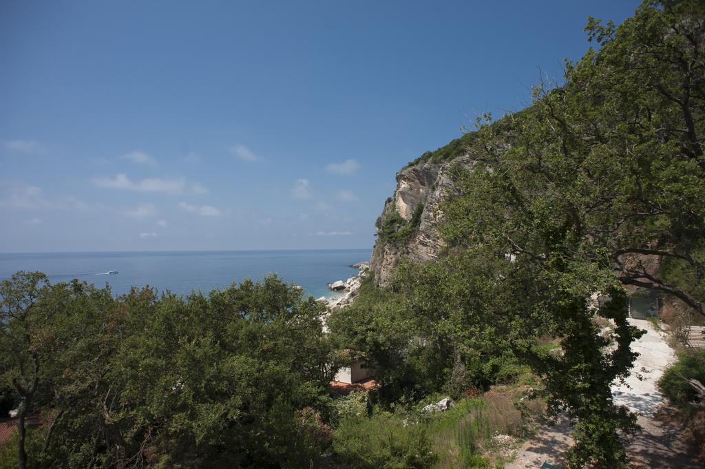 Apartments Villa Simonovic Petrovac Eksteriør billede